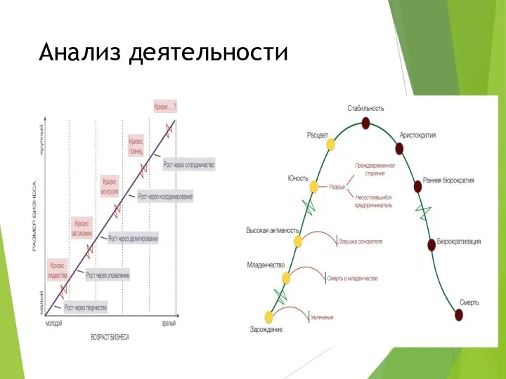 Анализ деятельности