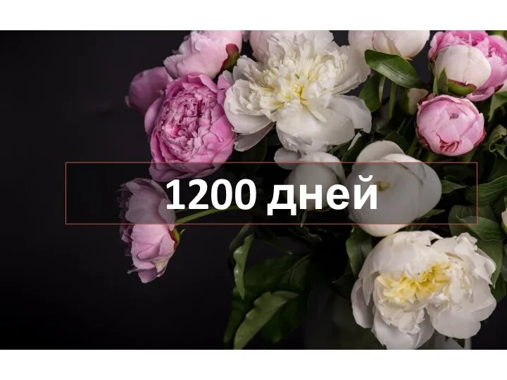 1200 дней