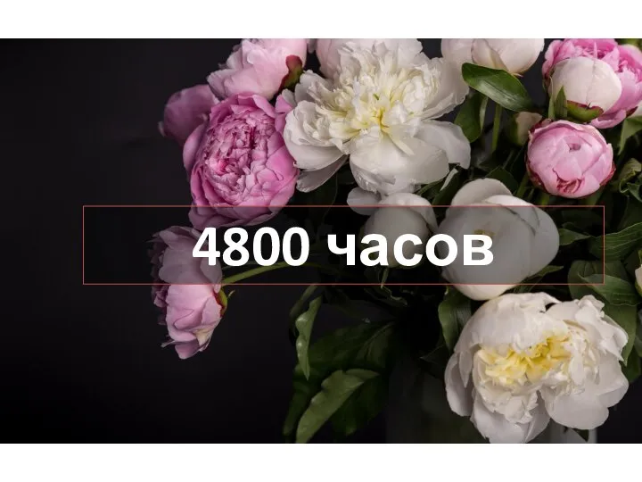 4800 часов