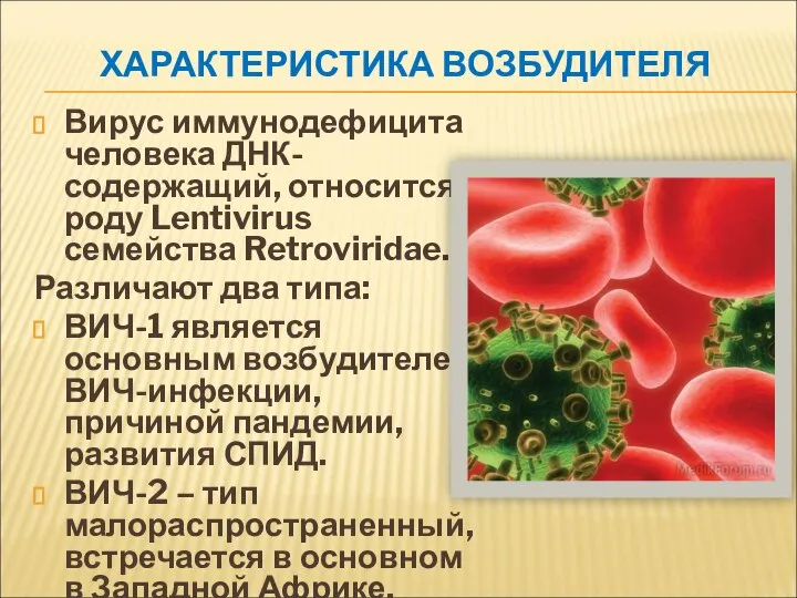 ХАРАКТЕРИСТИКА ВОЗБУДИТЕЛЯ Вирус иммунодефицита человека ДНК-содержащий, относится к роду Lentivirus семейства Retroviridae.