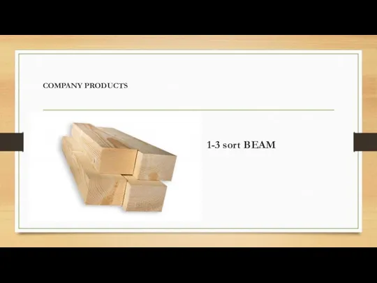 COMPANY PRODUCTS 1-3 sort BEAM