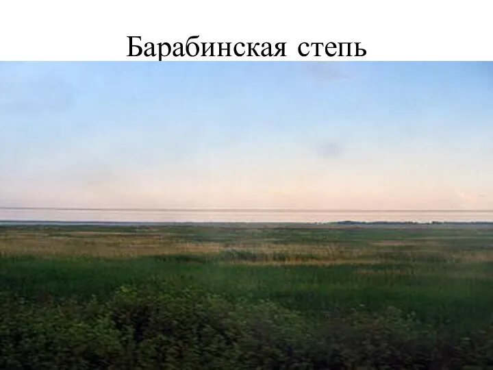 Барабинская степь