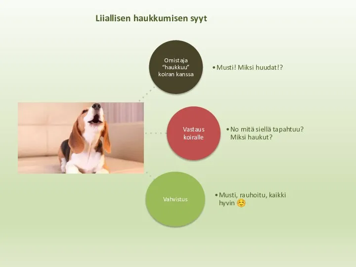 Liiallisen haukkumisen syyt