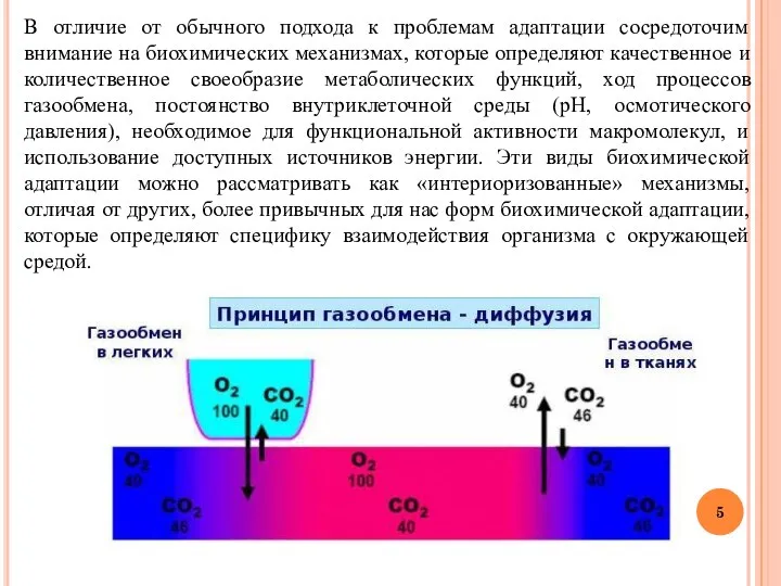В отличие от обычного подхода к проблемам адаптации сосредоточим внимание на биохимических