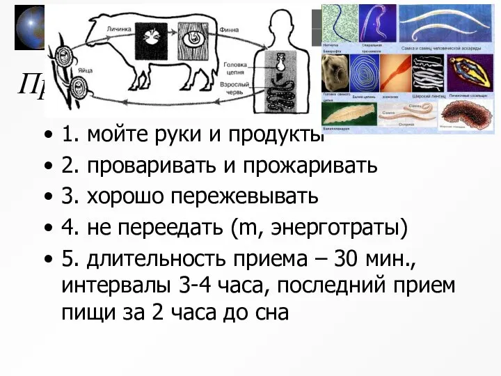 Правила питания 1. мойте руки и продукты 2. проваривать и прожаривать 3.