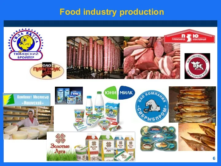 6 Food industry production