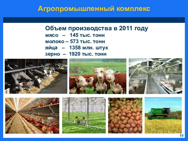 Агропромышленный комплекс 10 Объем производства в 2011 году мясо – 145 тыс.