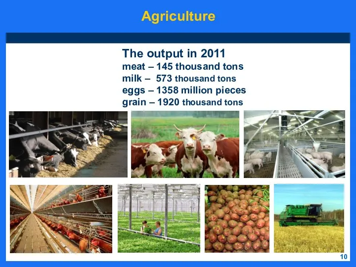 Agriculture 10 The output in 2011 meat – 145 thousand tons milk