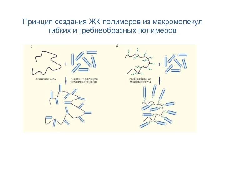 Принцип создания ЖК полимеров из макромолекул гибких и гребнеобразных полимеров