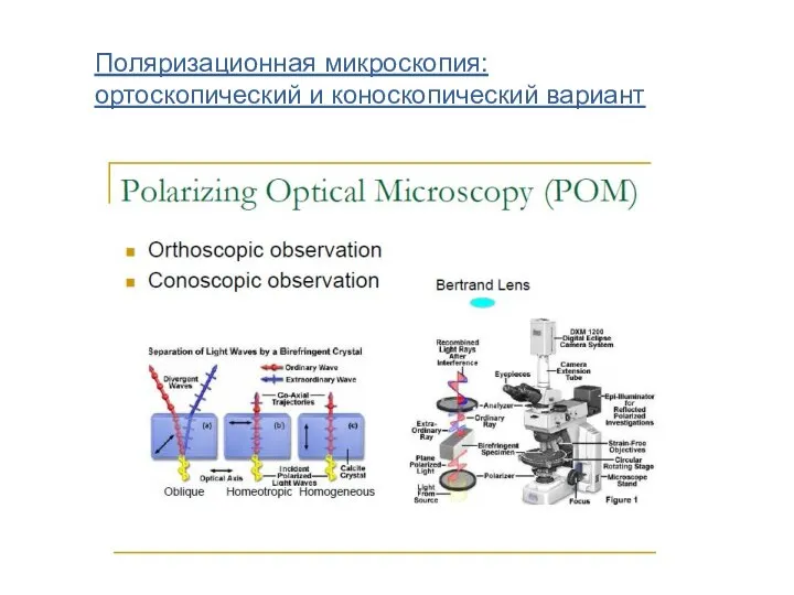 Поляризационная микроскопия: ортоскопический и коноскопический вариант