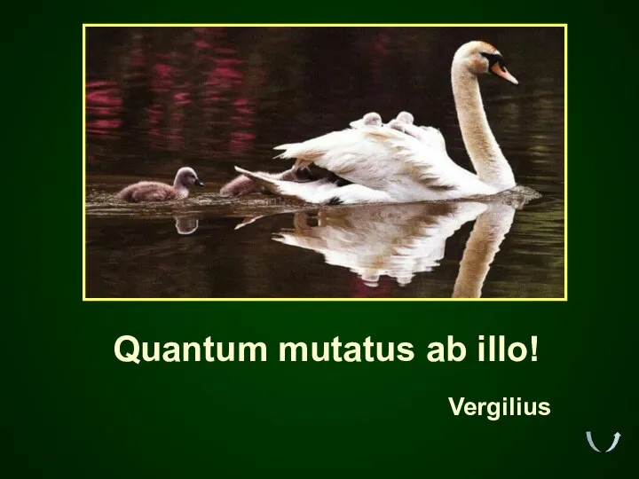 Quantum mutatus ab illo! Vergilius