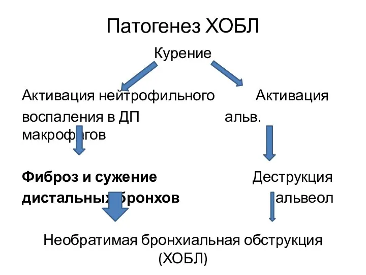 Патогенез ХОБЛ Курение Активация нейтрофильного Активация воспаления в ДП альв. макрофагов Фиброз