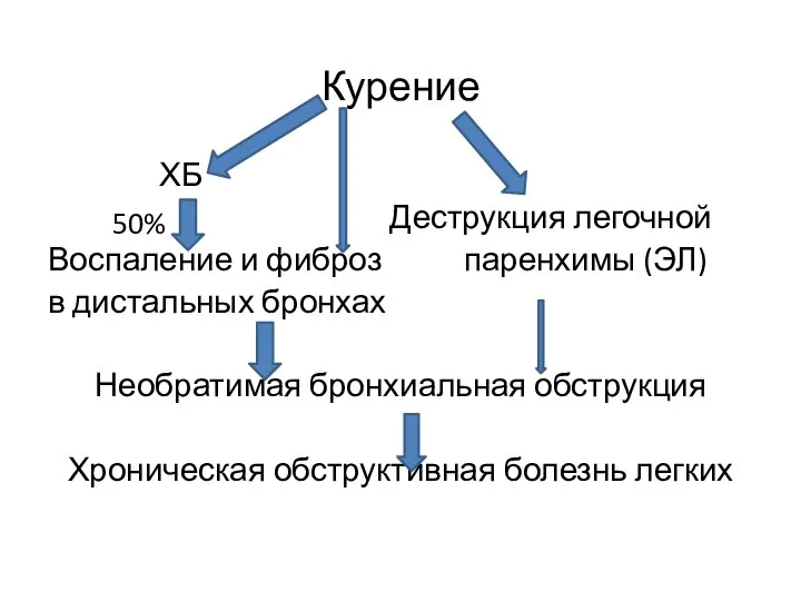 Курение ХБ Деструкция легочной Воспаление и фиброз паренхимы (ЭЛ) в дистальных бронхах