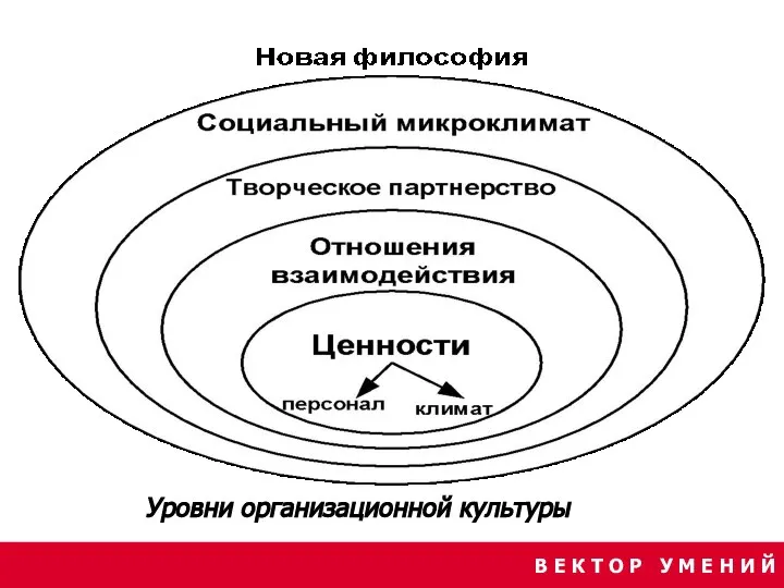 В Е К Т О Р У М Е Н И Й Уровни организационной культуры