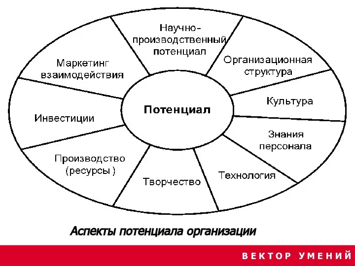 В Е К Т О Р У М Е Н И Й Аспекты потенциала организации