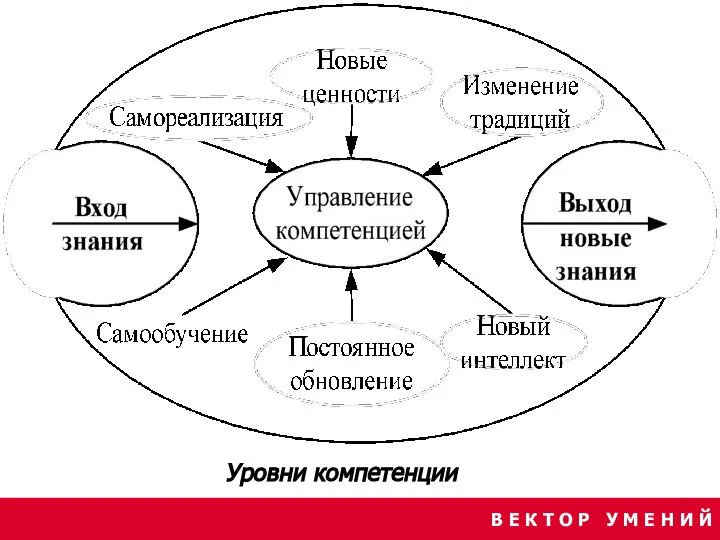 В Е К Т О Р У М Е Н И Й Уровни компетенции