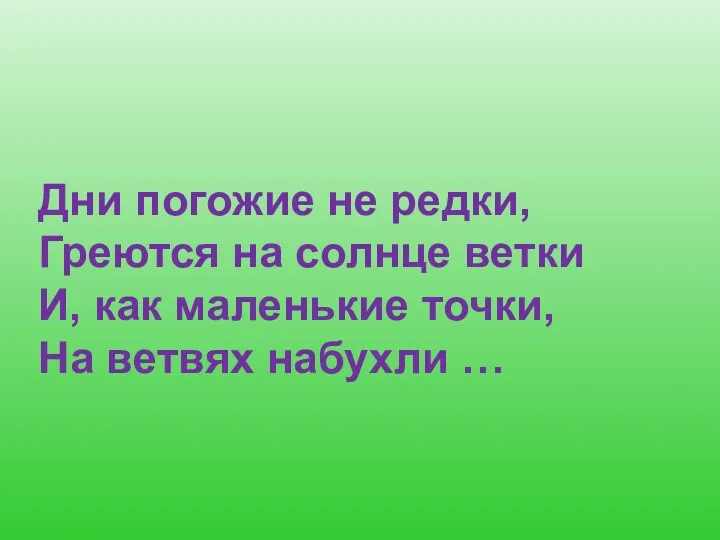 Дни погожие не редки, Греются на солнце ветки И, как маленькие точки, На ветвях набухли …