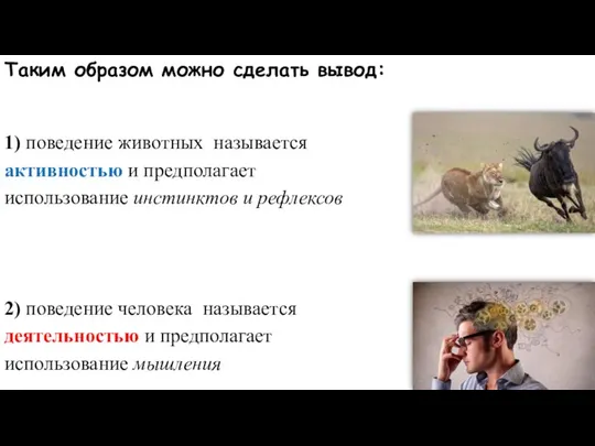 1) поведение животных называется активностью и предполагает использование инстинктов и рефлексов 2)