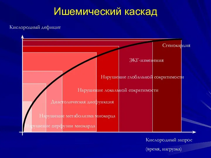 Ишемический каскад Диастолическая дисфункция Нарушение локальной сократимости Нарушение перфузии миокарда Стенокардия ЭКГ-изменения