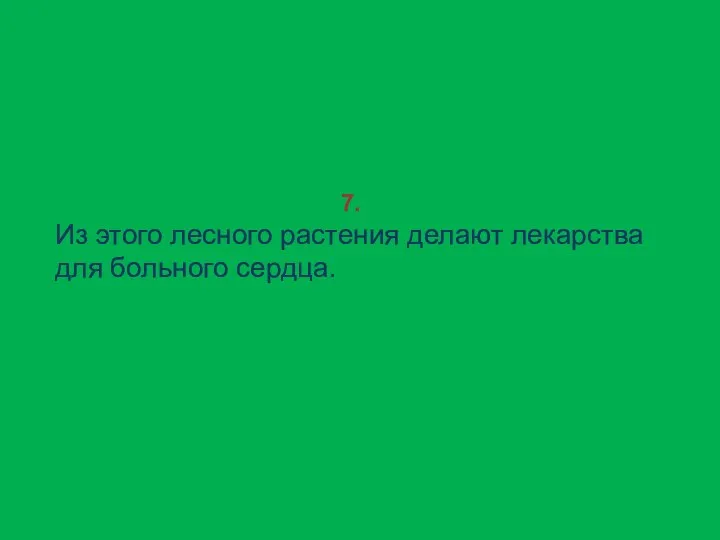 7. Из этого лесного растения делают лекарства для больного сердца.