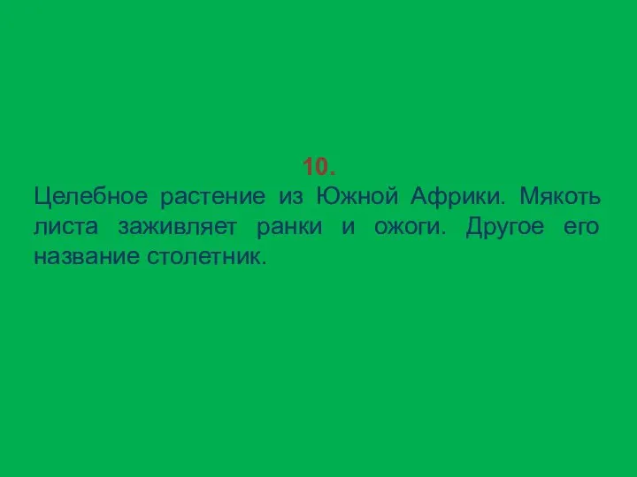 10. Целебное растение из Южной Африки. Мякоть листа заживляет ранки и ожоги. Другое его название столетник.