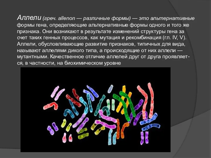 Аллели (греч. allenon — различные формы) — это альтернативные формы гена, определяющие