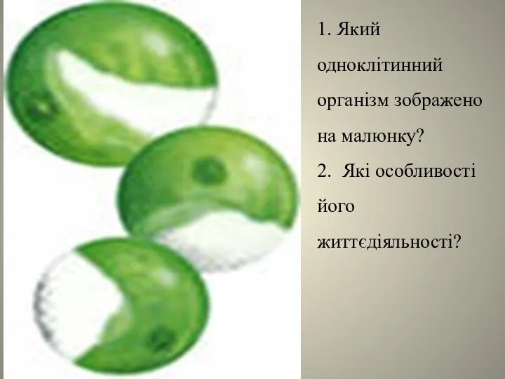 1. Який одноклітинний організм зображено на малюнку? 2. Які особливості його життєдіяльності?