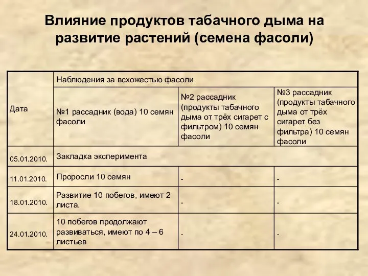 Влияние продуктов табачного дыма на развитие растений (семена фасоли)