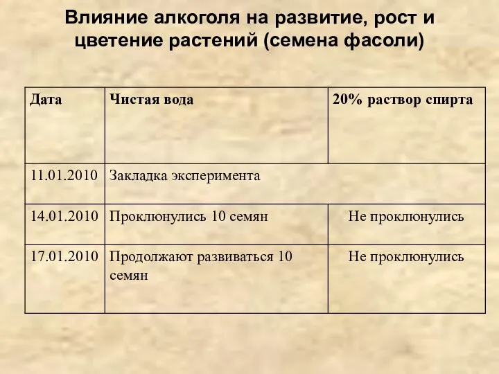 Влияние алкоголя на развитие, рост и цветение растений (семена фасоли)