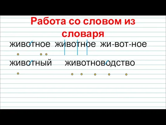 Работа со словом из словаря животное животное жи-вот-ное животный животноводство