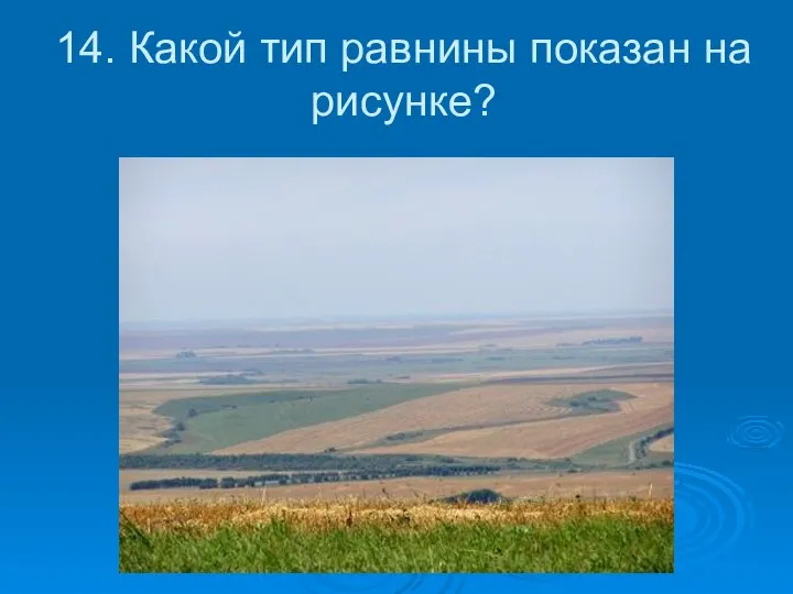 14. Какой тип равнины показан на рисунке?