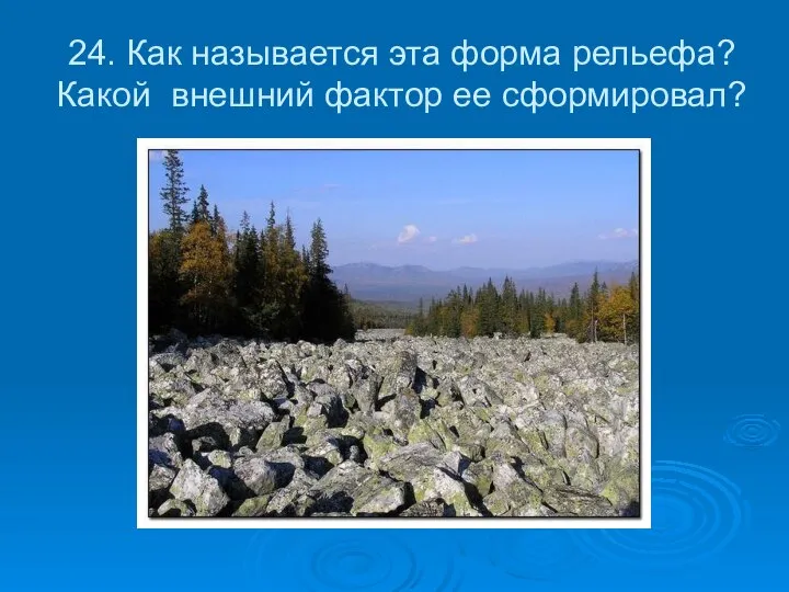 24. Как называется эта форма рельефа? Какой внешний фактор ее сформировал?