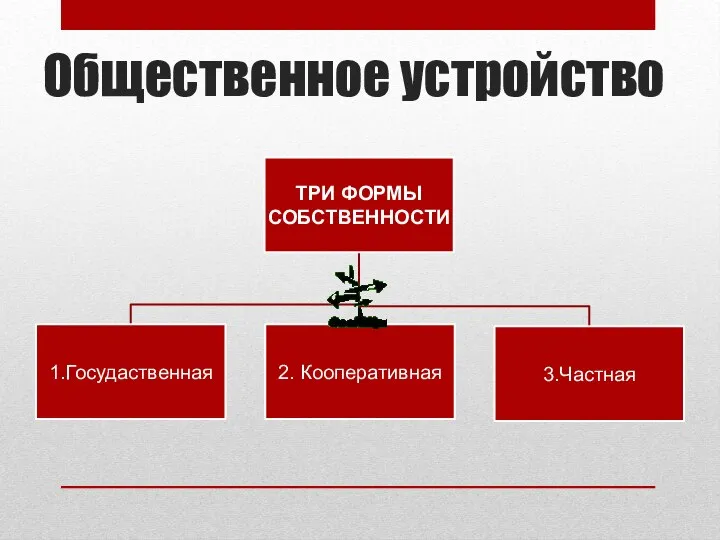 Общественное устройство