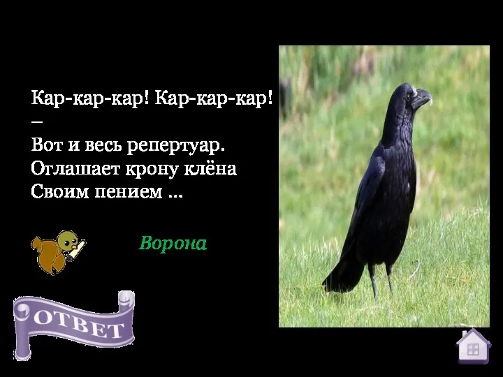 Кар-кар-кар! Кар-кар-кар! – Вот и весь репертуар. Оглашает крону клёна Своим пением … Ворона