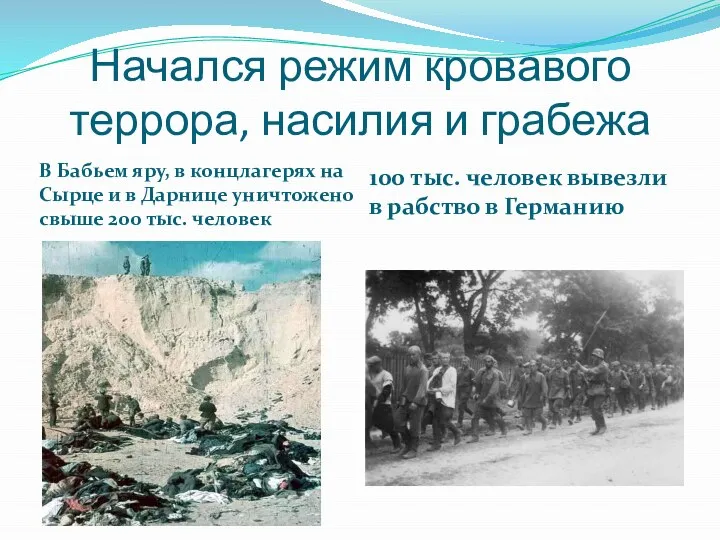 Начался режим кровавого террора, насилия и грабежа В Бабьем яру, в концлагерях