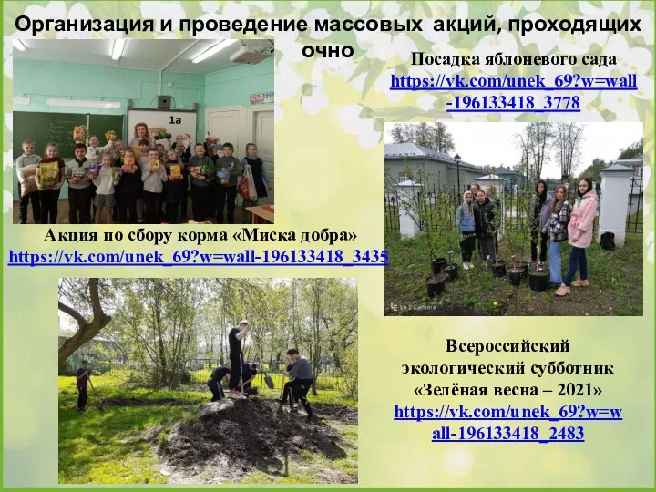 Организация и проведение массовых акций, проходящих очно Всероссийский экологический субботник «Зелёная весна