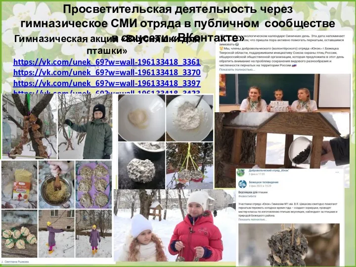 Просветительская деятельность через гимназическое СМИ отряда в публичном сообществе в соцсети «ВКонтакте»