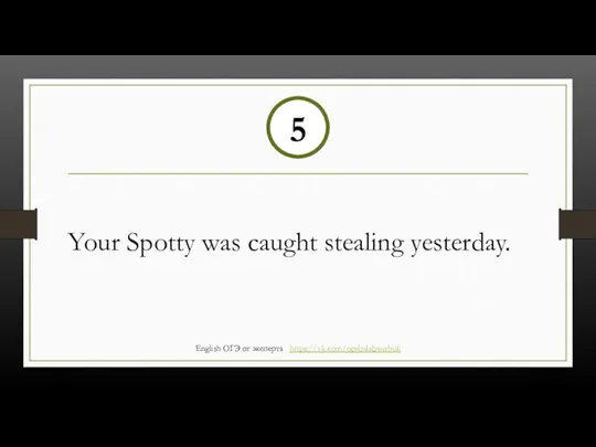 Your Spotty was caught stealing yesterday. 5 English ОГЭ от эксперта https://vk.com/ogebalabanchuk
