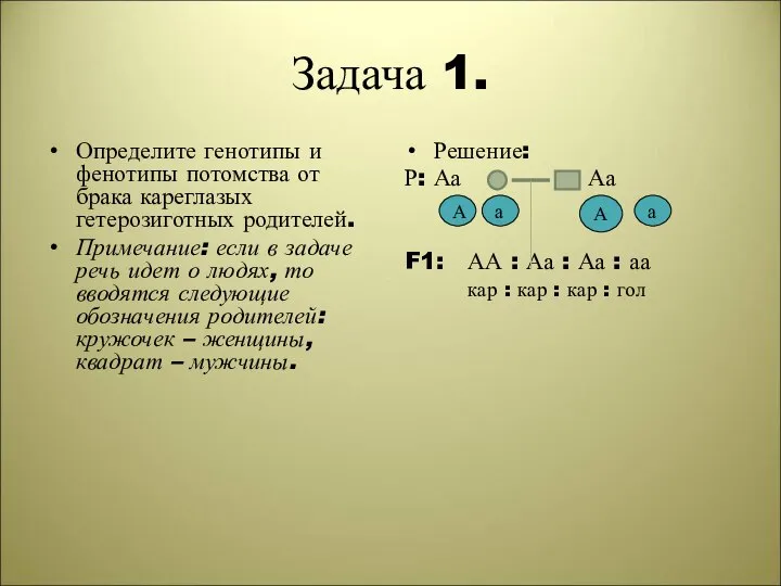 Задача 1. Определите генотипы и фенотипы потомства от брака кареглазых гетерозиготных родителей.