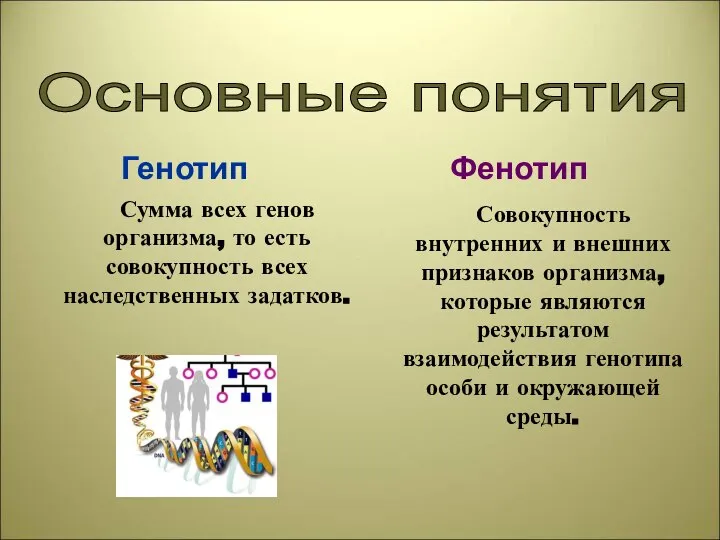 Основные понятия Генотип Фенотип Сумма всех генов организма, то есть совокупность всех