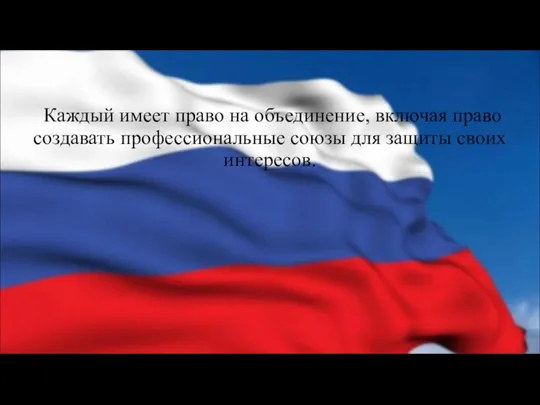 Каждый имеет право на объединение, включая право создавать профессиональные союзы для защиты своих интересов.