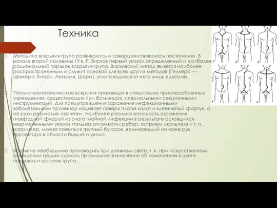 Техника Методика вскрытия трупа развивалась и совершенствовалась постепенно. В начале второй половины