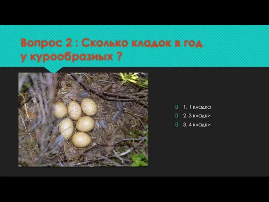 Вопрос 2 : Сколько кладок в год у курообразных ? 1. 1