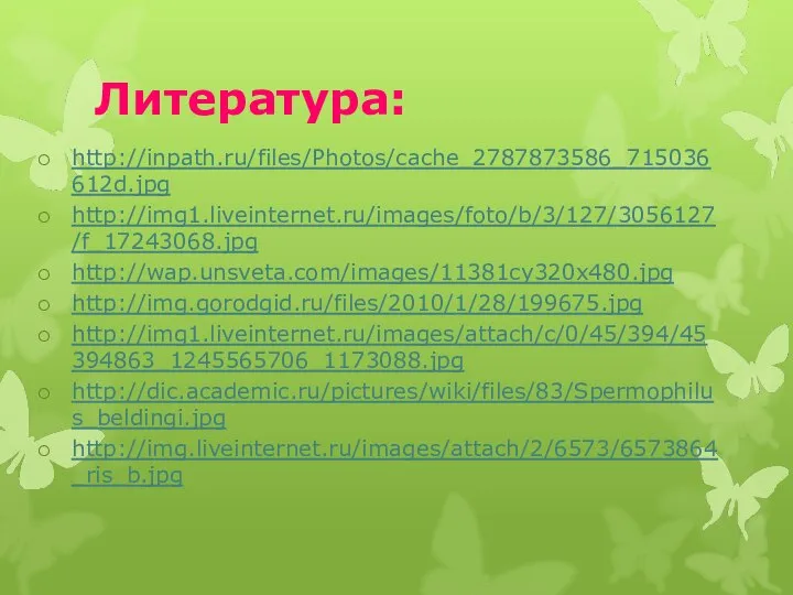 Литература: http://inpath.ru/files/Photos/cache_2787873586_715036612d.jpg http://img1.liveinternet.ru/images/foto/b/3/127/3056127/f_17243068.jpg http://wap.unsveta.com/images/11381cy320x480.jpg http://img.gorodgid.ru/files/2010/1/28/199675.jpg http://img1.liveinternet.ru/images/attach/c/0/45/394/45394863_1245565706_1173088.jpg http://dic.academic.ru/pictures/wiki/files/83/Spermophilus_beldingi.jpg http://img.liveinternet.ru/images/attach/2/6573/6573864_ris_b.jpg