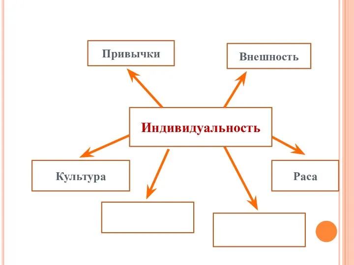 Привычки Внешность Культура Раса Индивидуальность