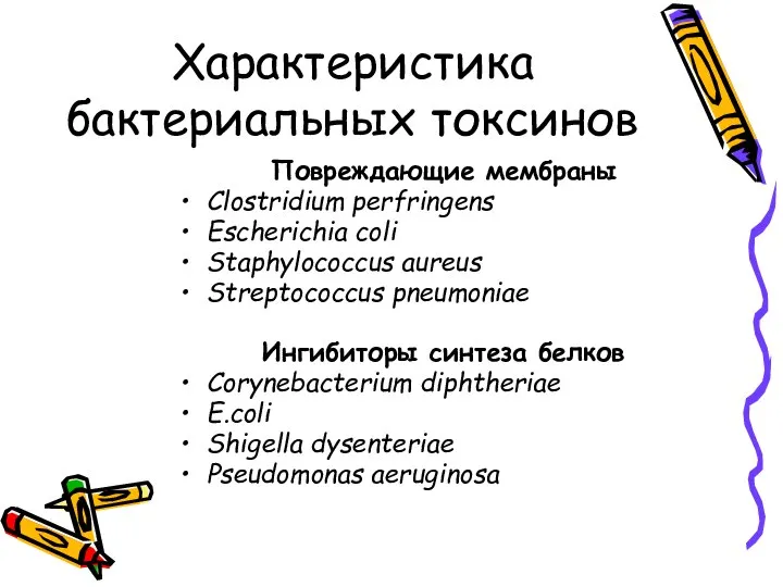 Характеристика бактериальных токсинов Повреждающие мембраны Clostridium perfringens Escherichia coli Staphylococcus aureus Streptococcus