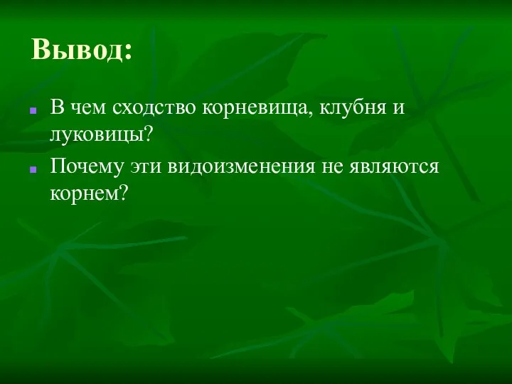 Вывод: В чем сходство корневища, клубня и луковицы? Почему эти видоизменения не являются корнем?