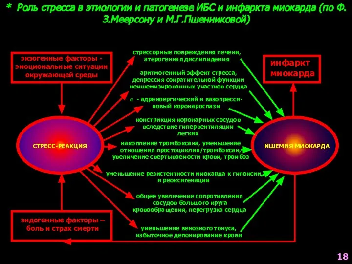 * Роль стресса в этиологии и патогенезе ИБС и инфаркта миокарда (по