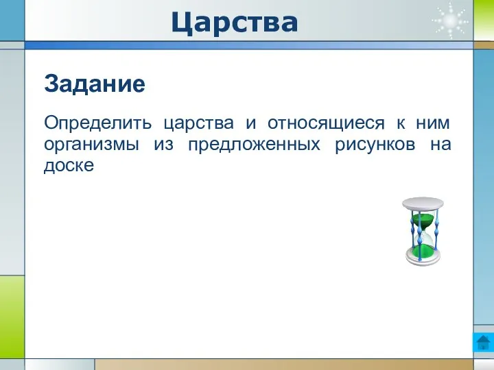 Царства Задание Определить царства и относящиеся к ним организмы из предложенных рисунков на доске