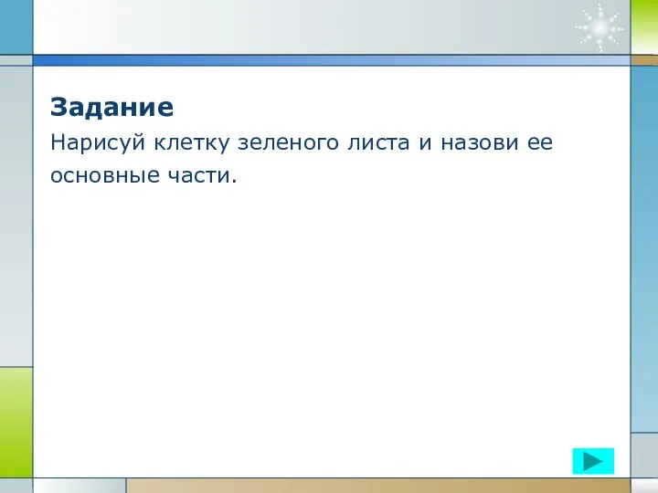 Задание Нарисуй клетку зеленого листа и назови ее основные части.